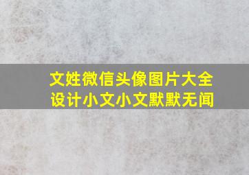 文姓微信头像图片大全 设计小文小文默默无闻